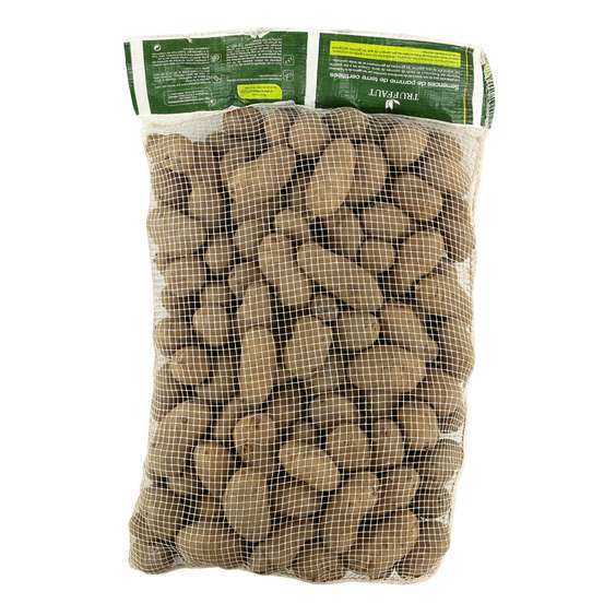 Plants de pommes de terre 'Bintje' en sac - 5 kg