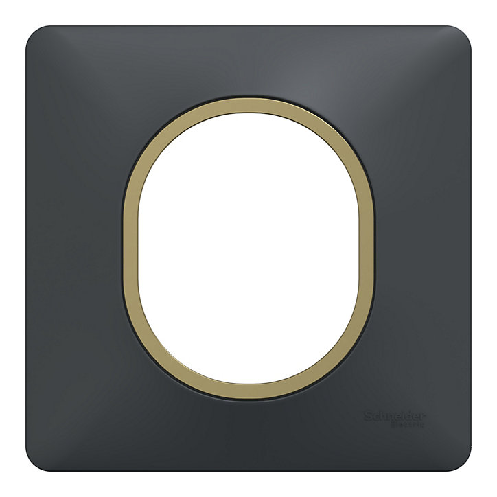 Plaque de finition simple Schneider Electric Ovalis gris anthracite bague laiton