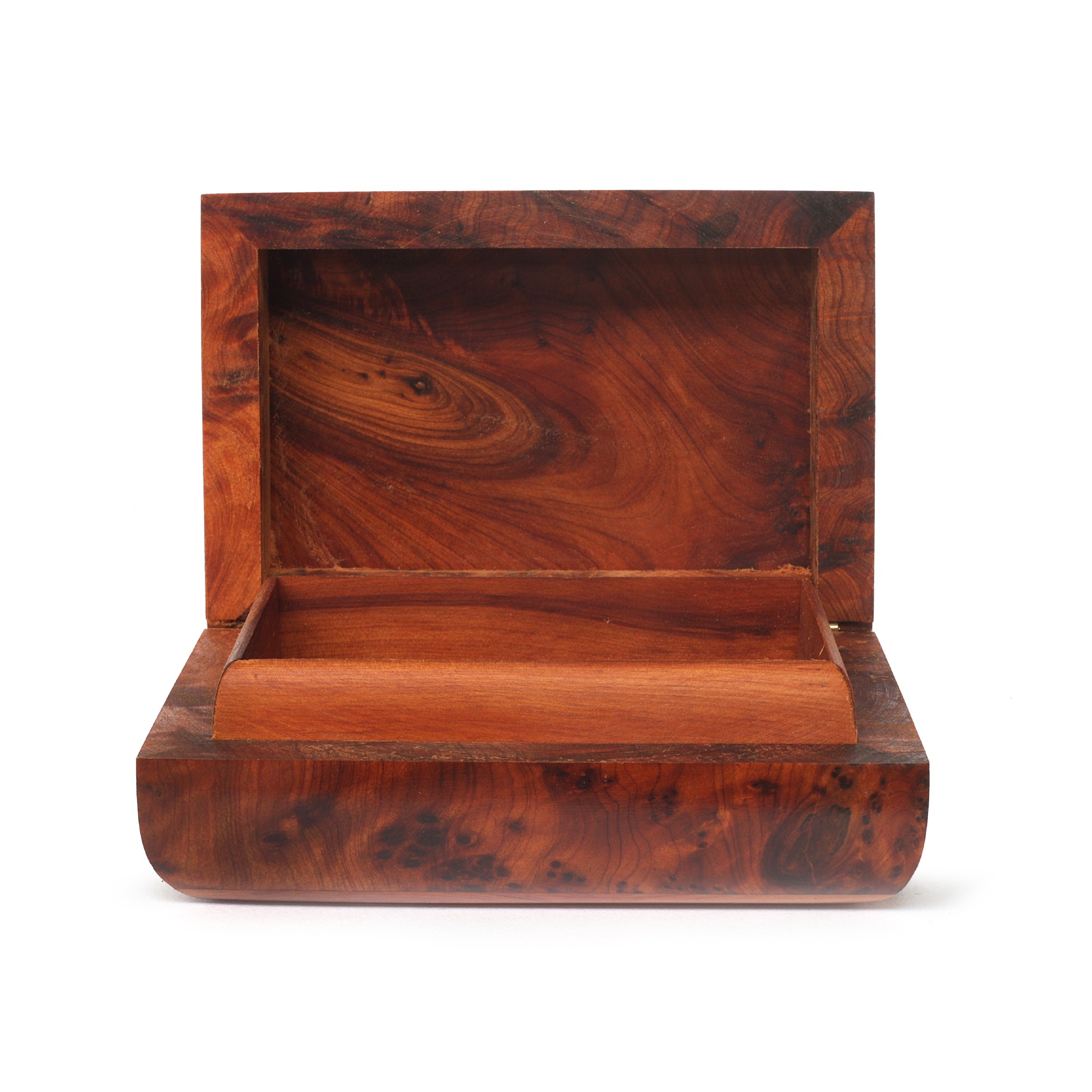 Thuja Box von fischer's lagerhaus