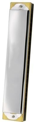Beginner En Professional Die De 21 Holes Mondharmonica Met Accent Majeur D Mol En Andere Tonen Bespeelt mondharmonica(G key)