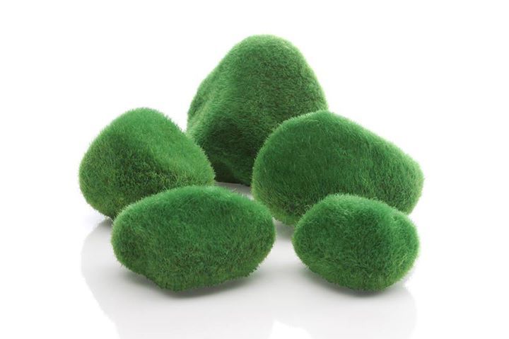BiOrb moss pebble