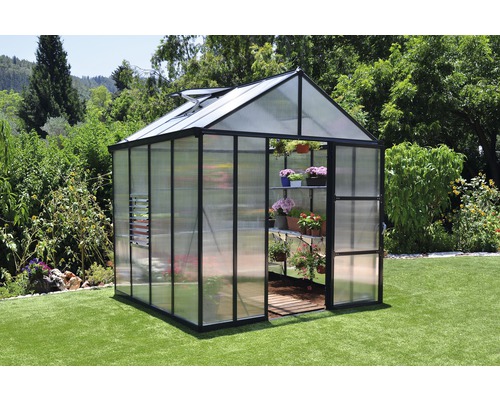 Palram Kas – Canopia Glory 8x8 Dubbelwandige Polycarbonaat Panelen 10 mm incl. Funderingsframe, Regengoten, Automatische Raamopener 244,5 x 244,5 cm Grijs
