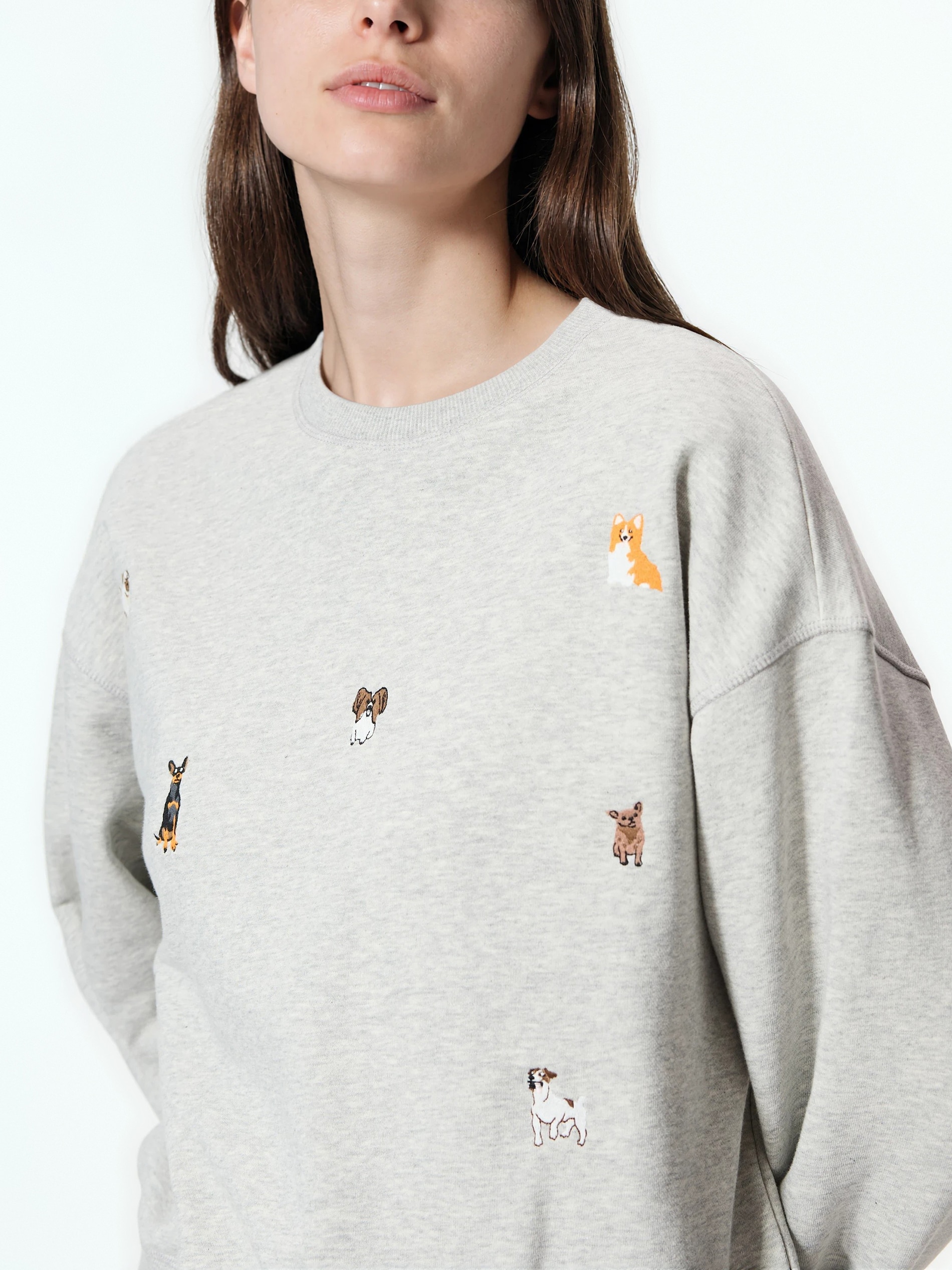 Sweatshirt mit Stickerei