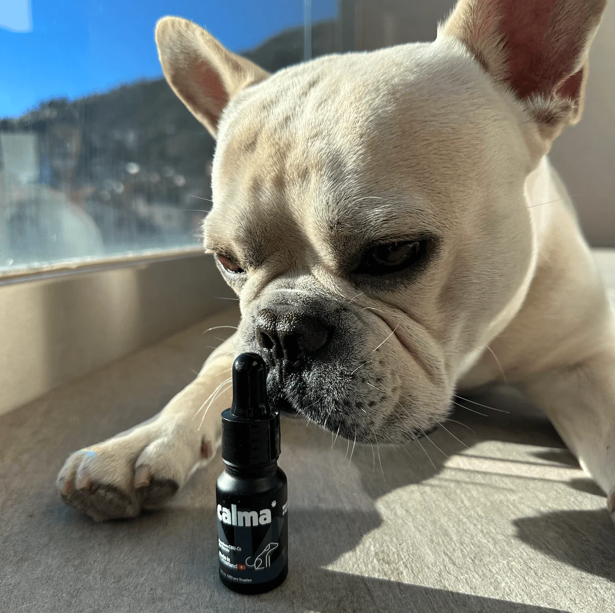 Óleo de CBD Premium CALM CBD 5%