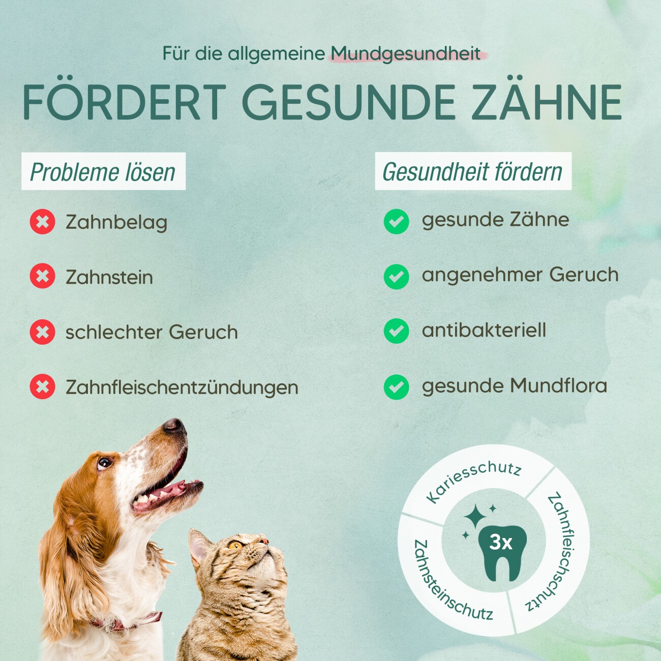 Pawlie's Dentalspray Zahnpflege