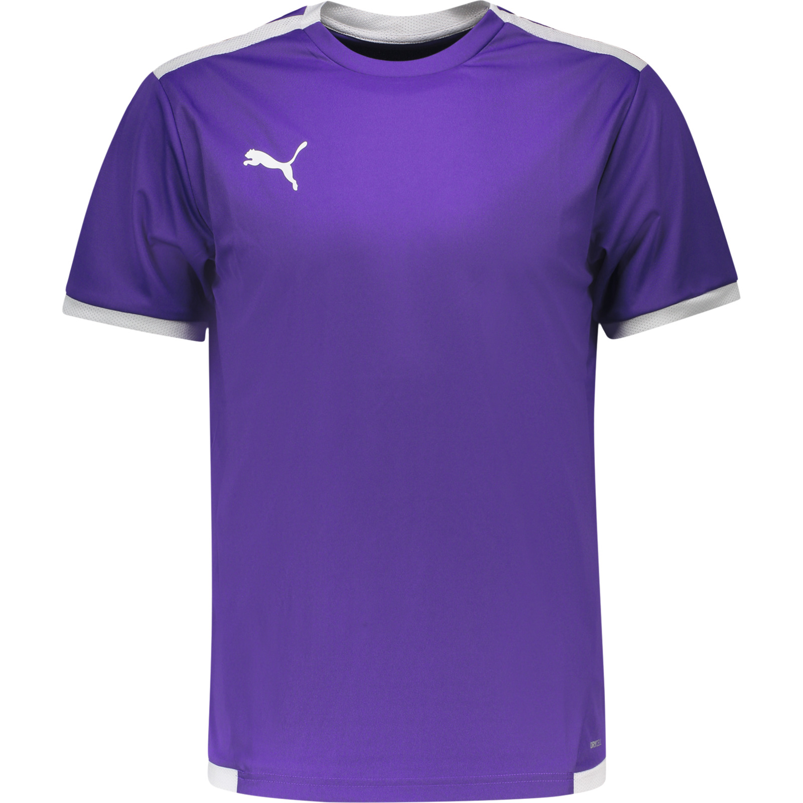 Puma Herren-Trikot teamLiga S, violett