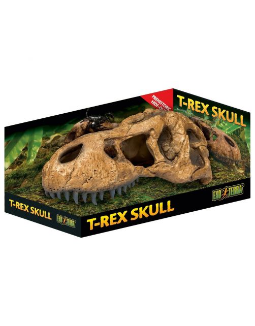 Exo Terra T-Rskull Fossiele Schuilplaats - Schuilplaats -