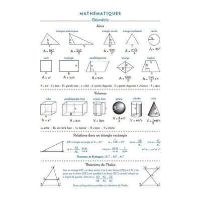 Agenda Safari Perroquet - 1 jour par page - 12 x 17 cm - Exacompta