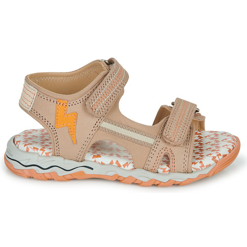 Citrouille et Compagnie - WAYO - Beige