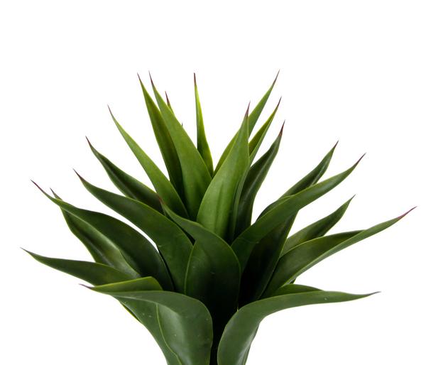 I.GE.A. Kunstpflanze Agave im Topf, ca. H70 cm
