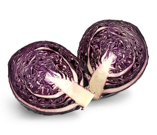 Rotkohl, 6er Schale