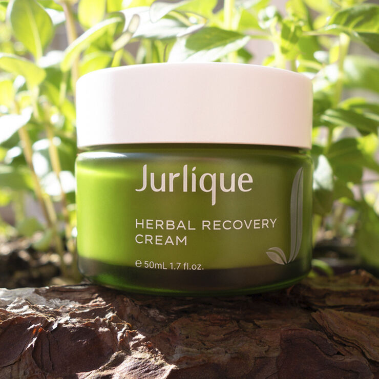 Jurlique Herbal Recovery Cream