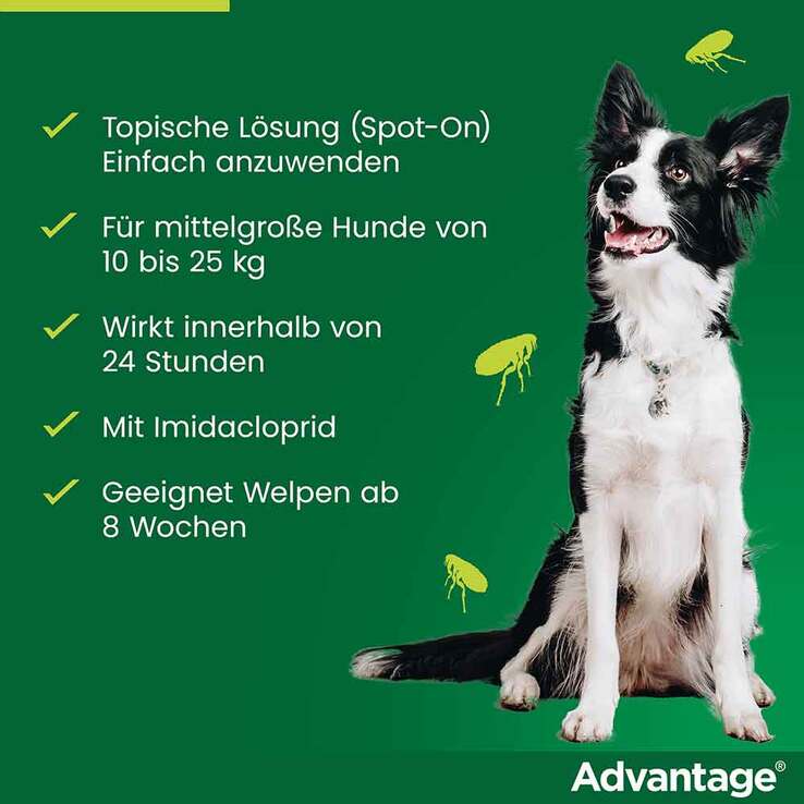 Advantage 250 für Hunde von 10-25 kg, 4 St