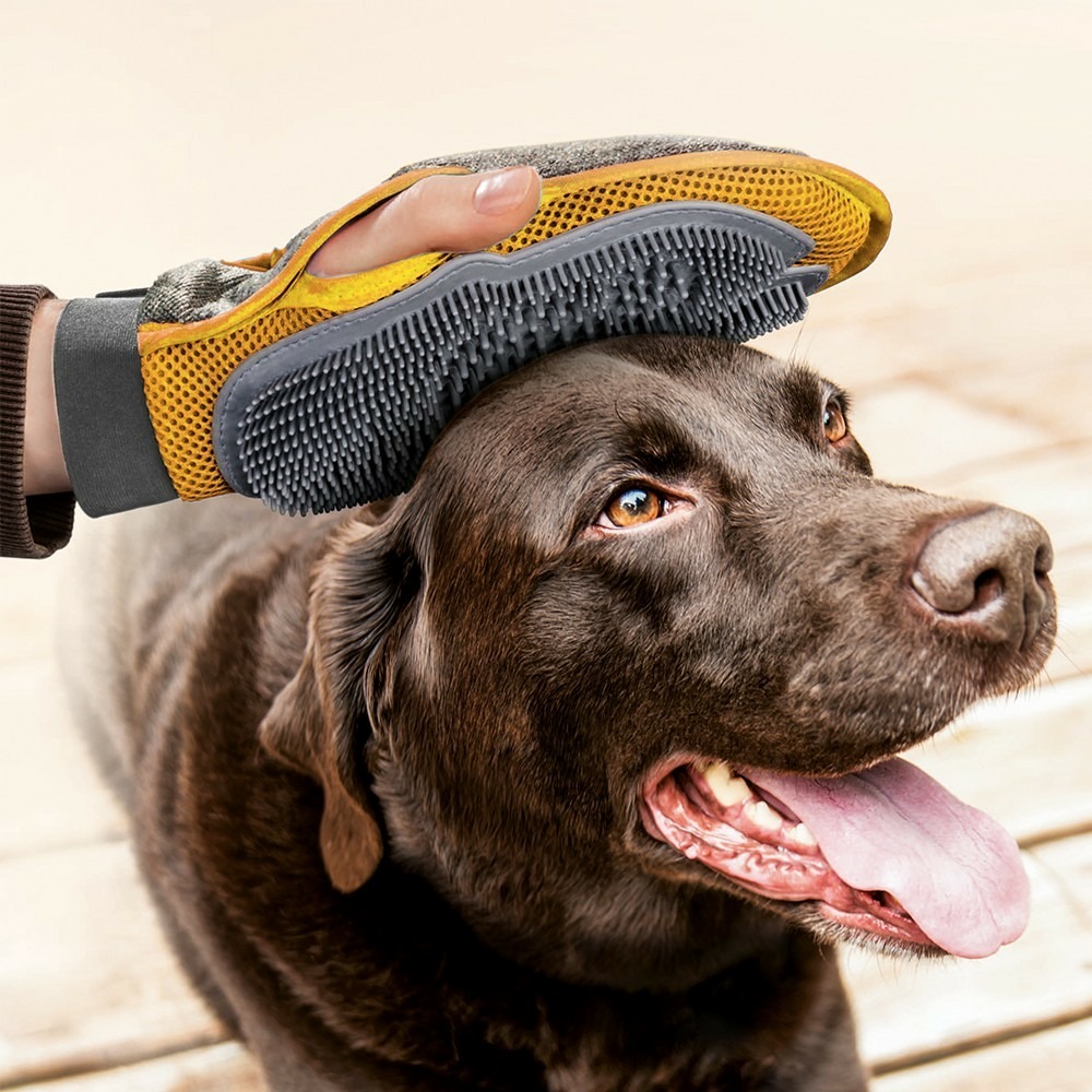 Gant de brossage 2-en-1 pour chiens et chats de , gant ambidextre, fermeture auto-agrippante, accessoire de toilettage
