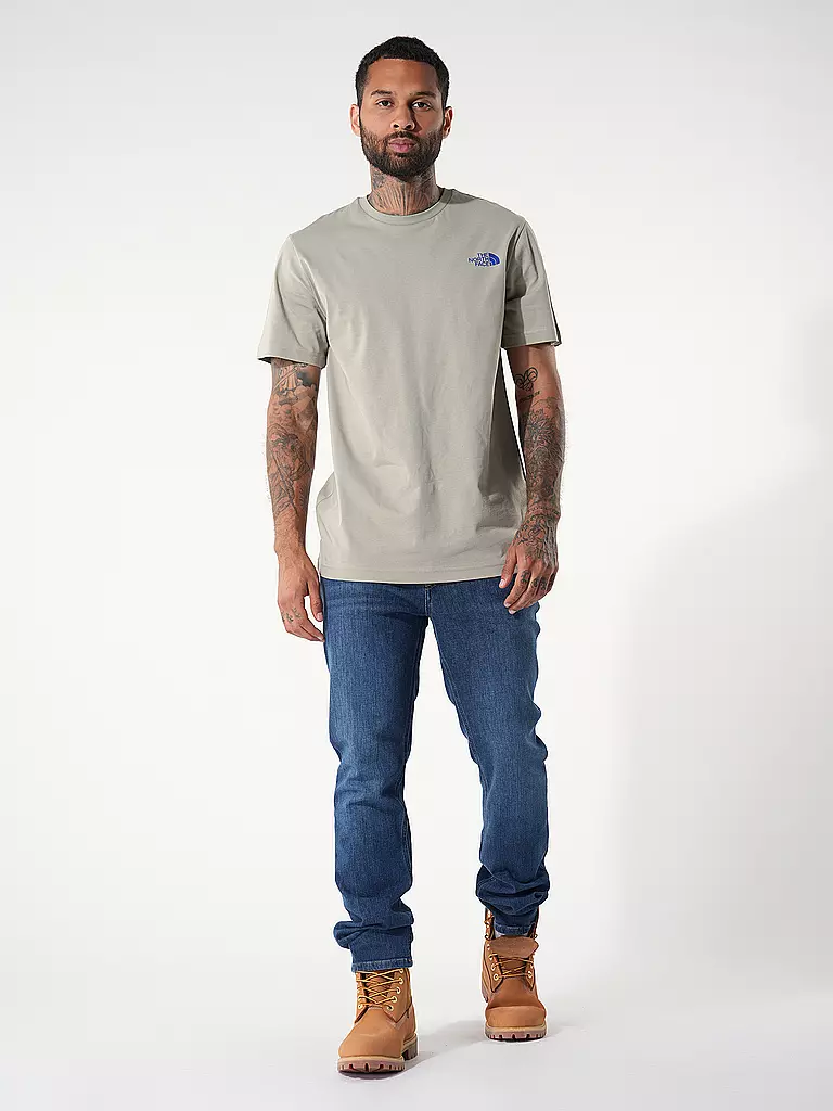 THE NORTH FACE T-Shirt grau