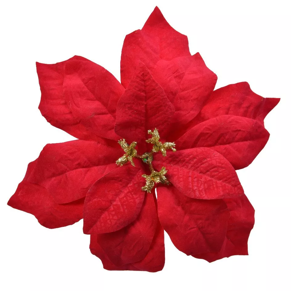 Poinsettia de Noël Giana sur clip (D26 cm) Rouge