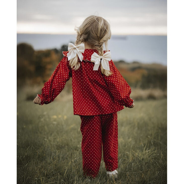 Fliink DOLLY DOT LS BLOUSE Pompeian red