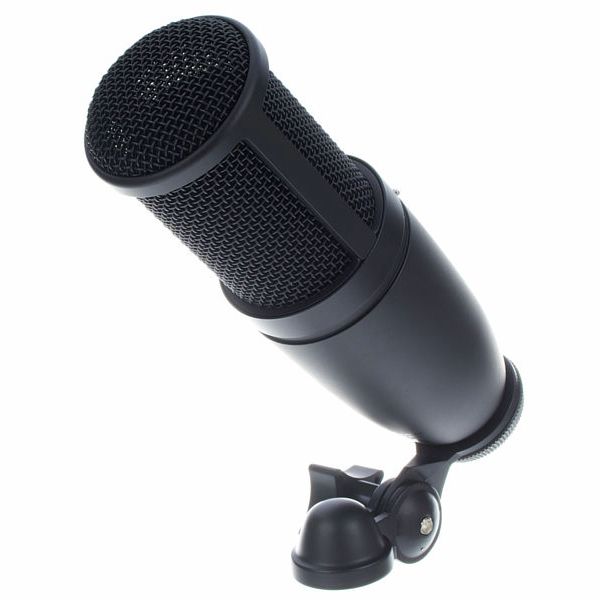 AKG P120