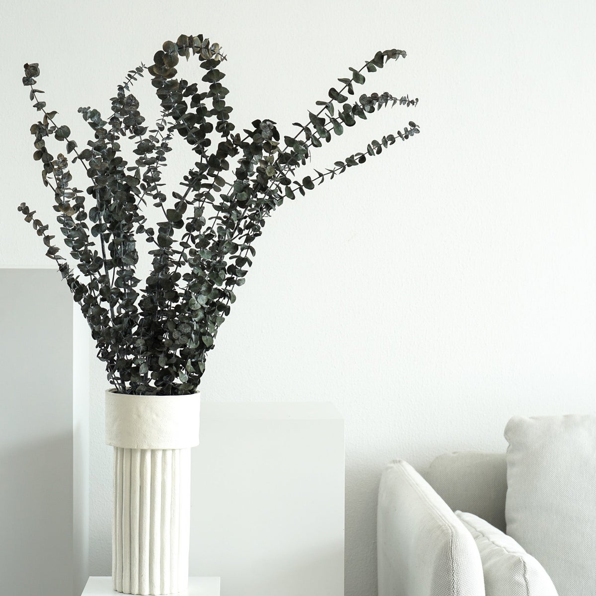 Eucalyptus Babybundel
