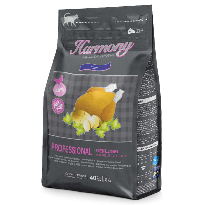 Harmony Cat Professional Kitten