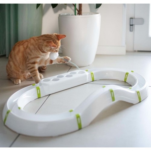 Brinquedo para Gatos Ferplast Multicolorido