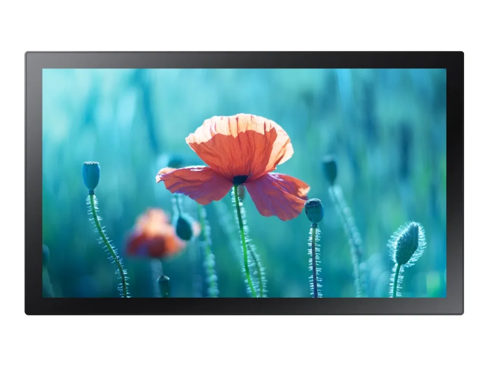 Samsung QB13R-TM - 13