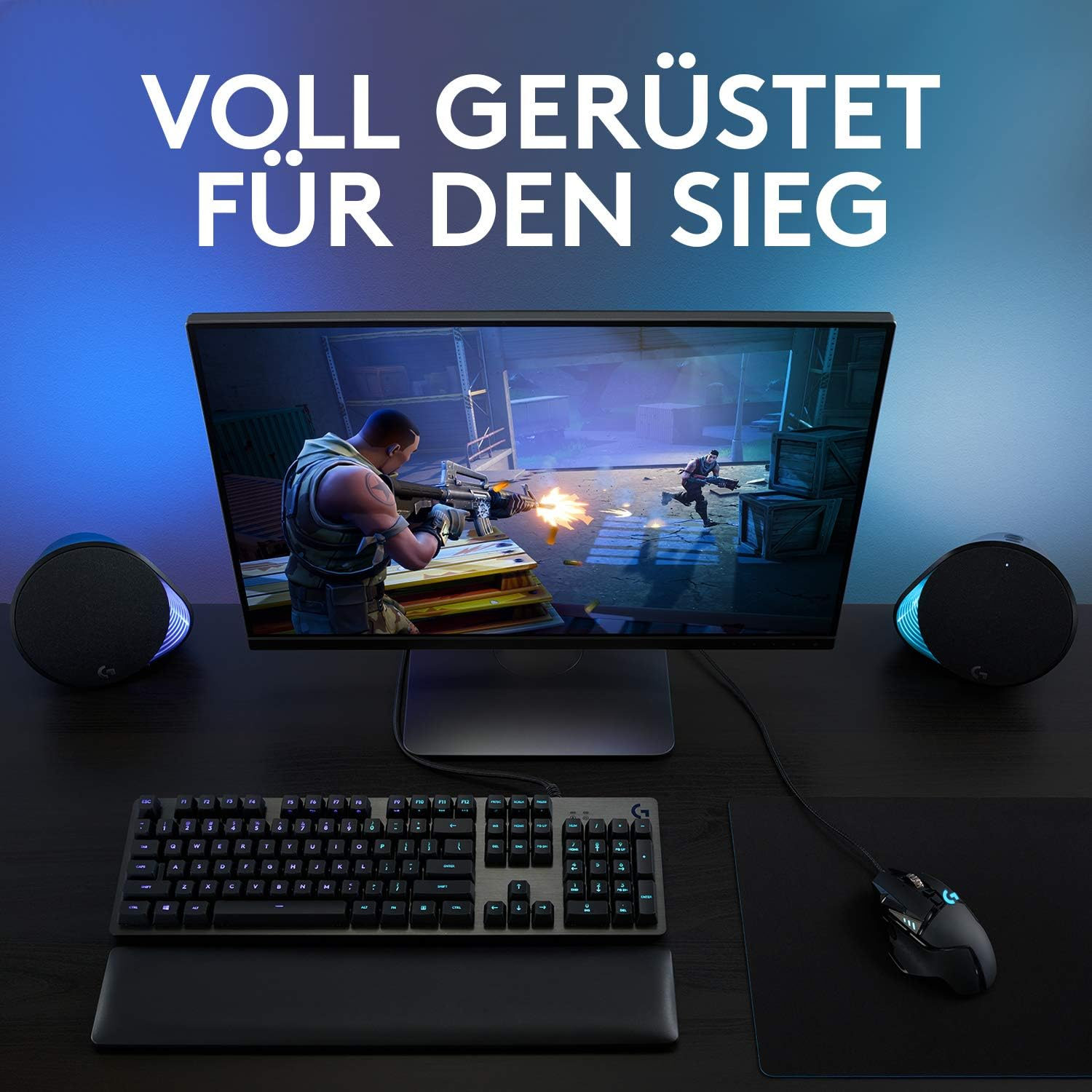 G502 Hero High Performance Kabelgebundene Gaming Maus (910-005470) - Schwarz