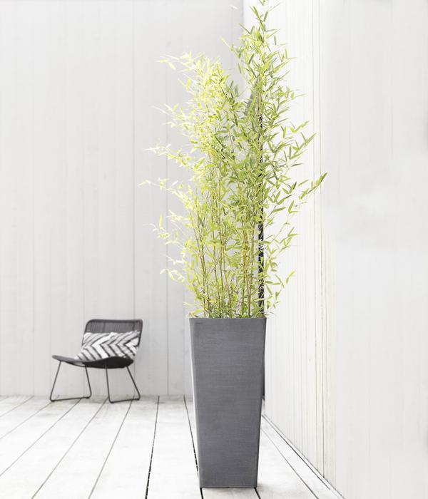 Ecopots Kunststoff-Topf Rotterdam Hoch,