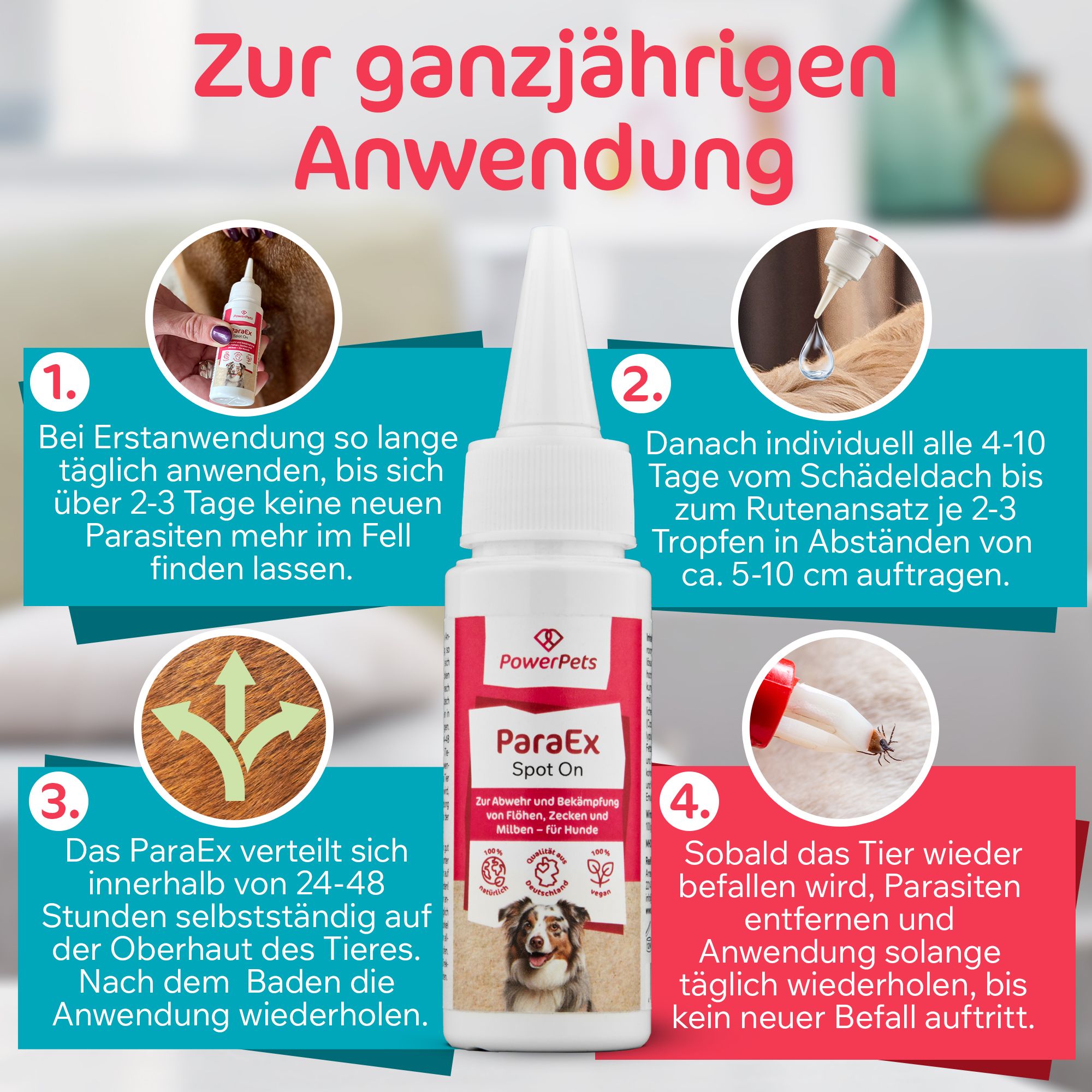 PowerPets - ParaEx - Spot On für Hunde