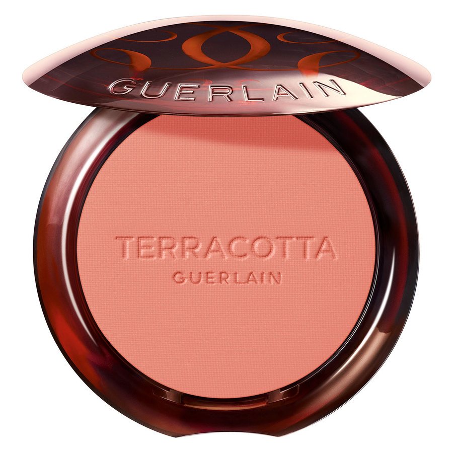 Guerlain Terracotta Blush 02 5g