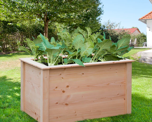 BM Massivholz Hochbeet »Douglasie« BxTxH: 106x65x60 cm, naturbelassen