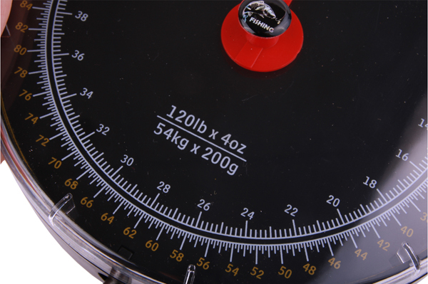 Peson Ultimate Record Scale 54kg