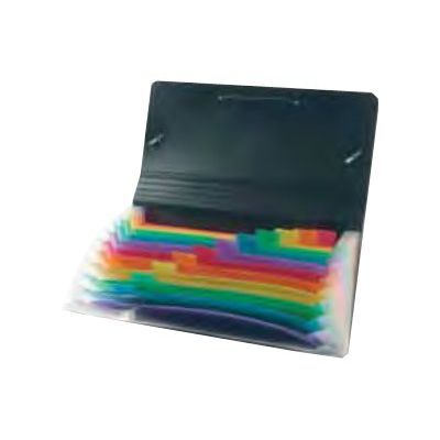 Viquel Rainbow Class - Trieur 12 positions - format chèque