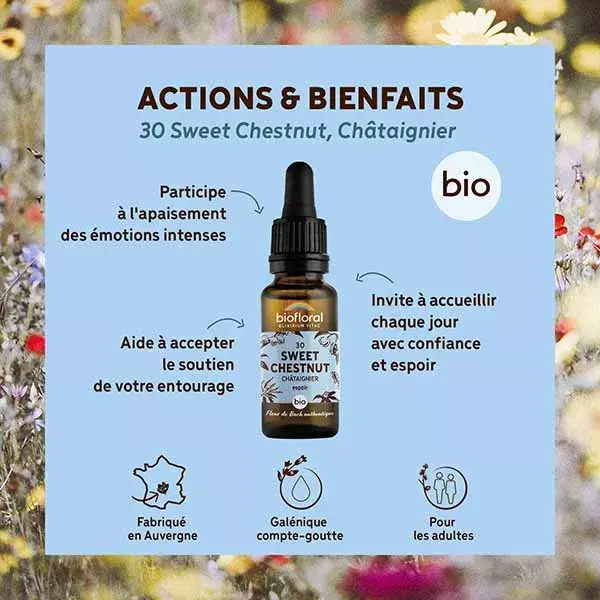 Biofloral Fleur De Bach 30 Castanha Doce Castanha Contagem Gotas Orgânicas 20 ml