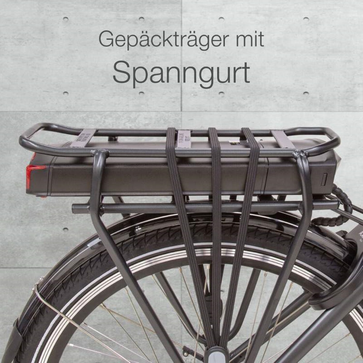 aktivelo Alu-Elektro Tiefeinsteiger-Rad Kardan, 26 Zoll
