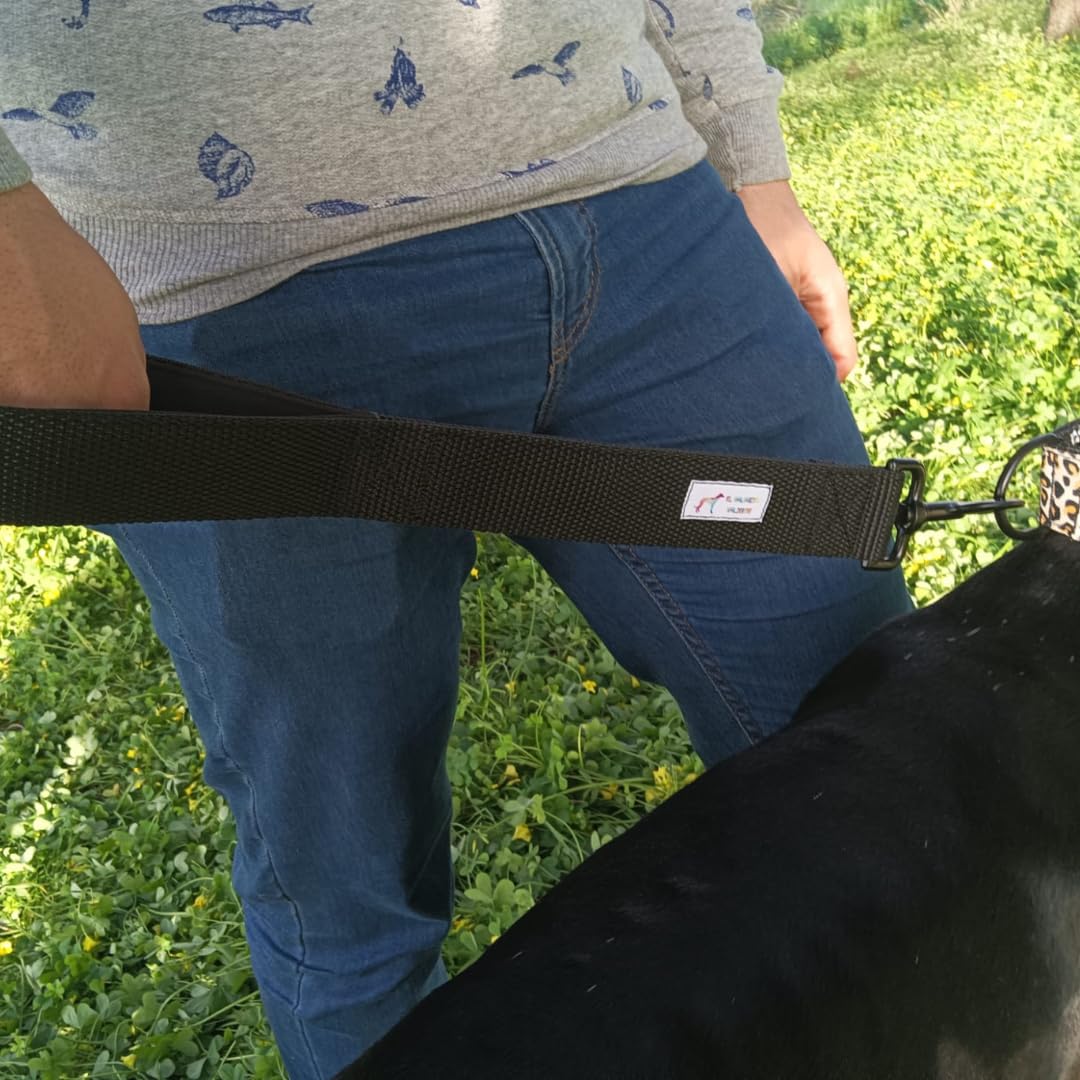 EGV - Guia curta para cães, 4 cm de largura, com alça de neoprene e mosquetão reforçado. 50 cm de comprimento. (Verde)