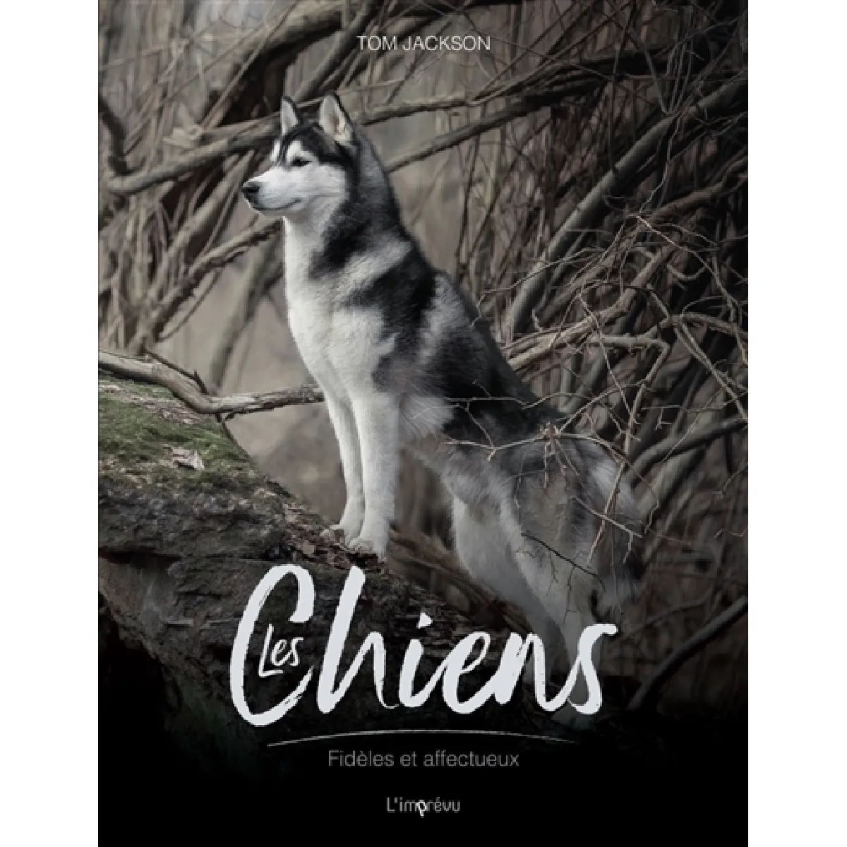 Les chiens : fidèles et courageux · Occasion