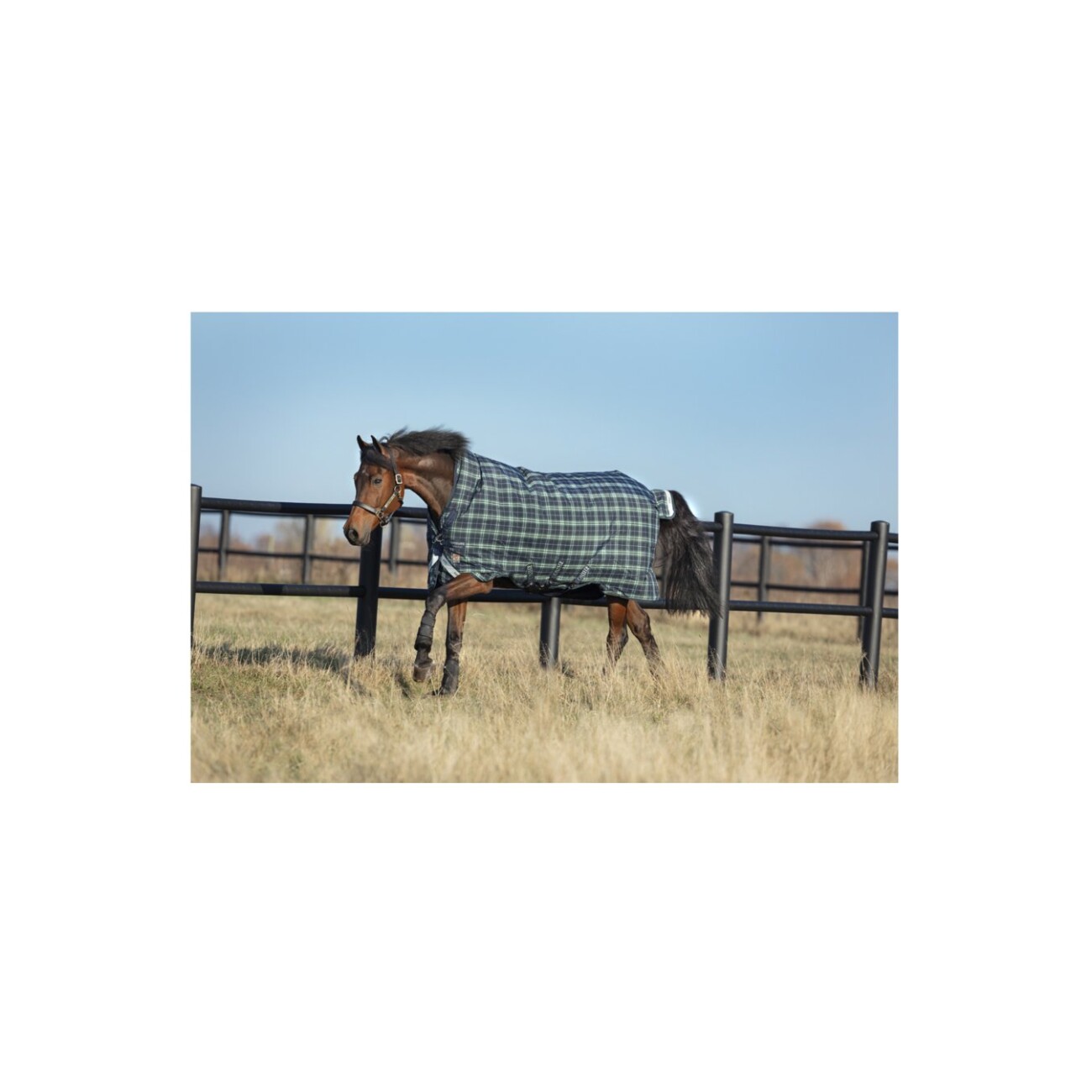 Rhino Winterdecke Rhino Wug Turnout Medium 250 g 1,55 m