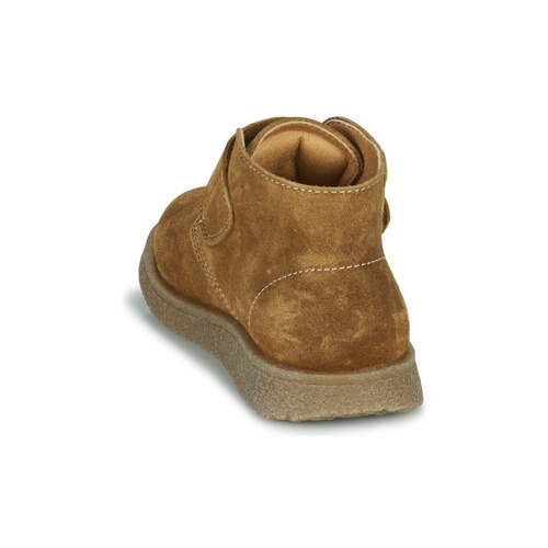 Pablosky - 506486 - Cognac
