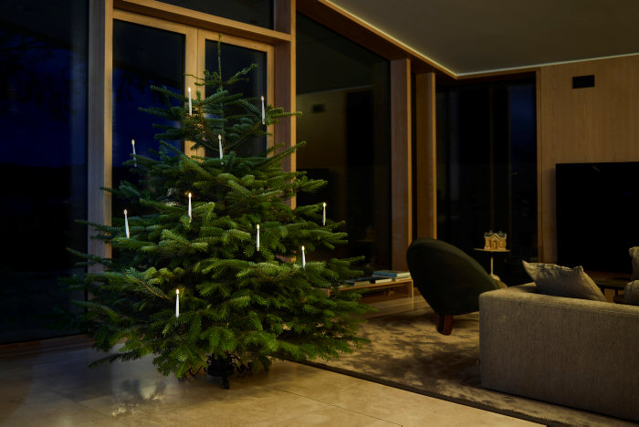 Juletræslys LED med clips 10 stk. H15,8 cm