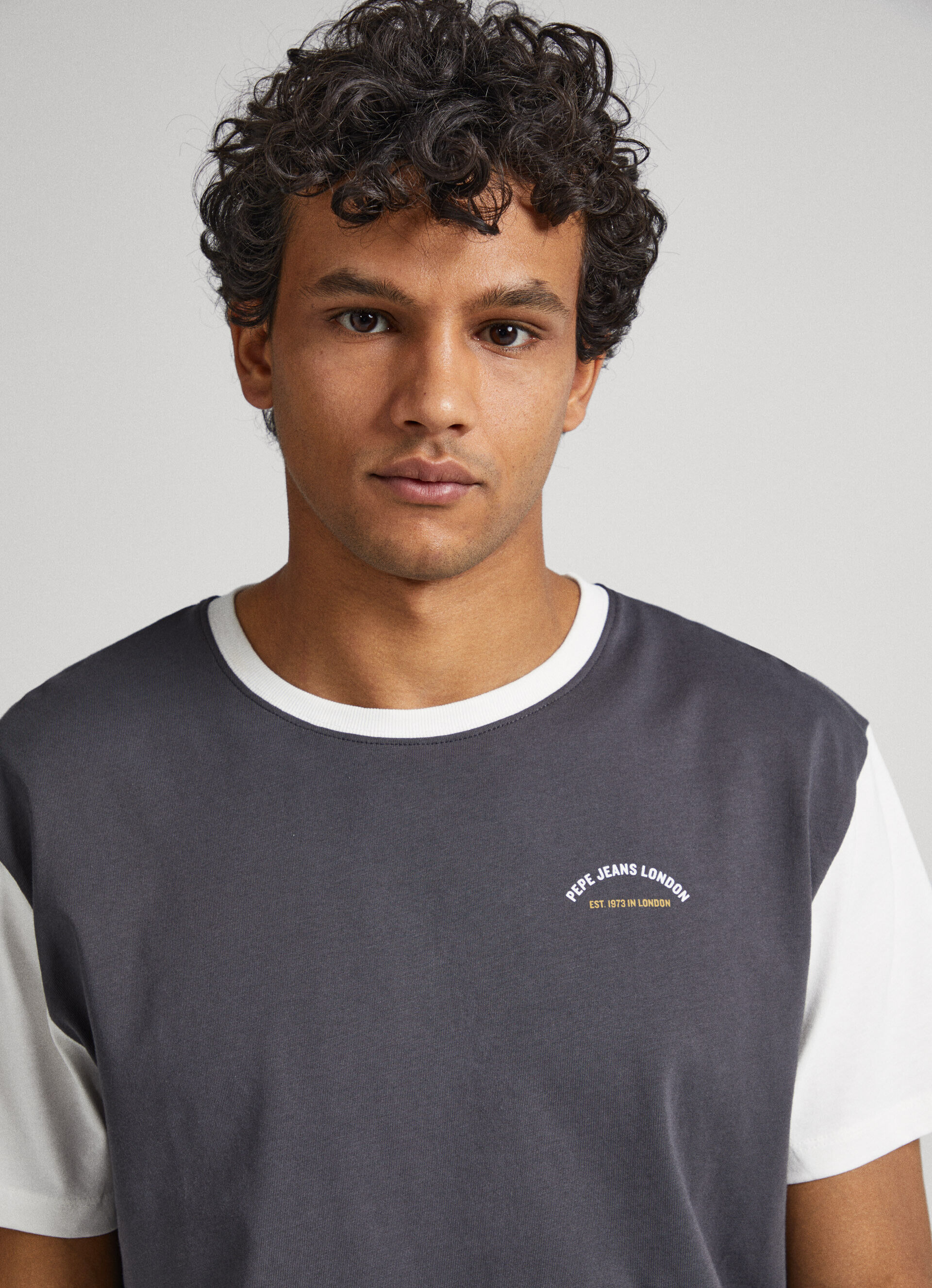 CAMISETA COLOR BLOCK - cinza trovão
