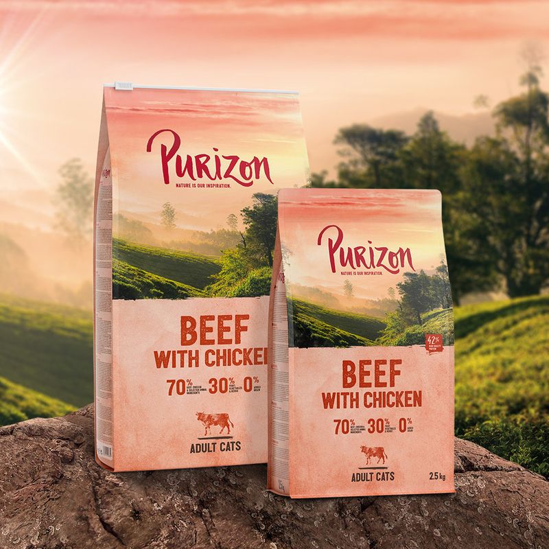 Purizon Adult, bœuf & poulet - sans céréales