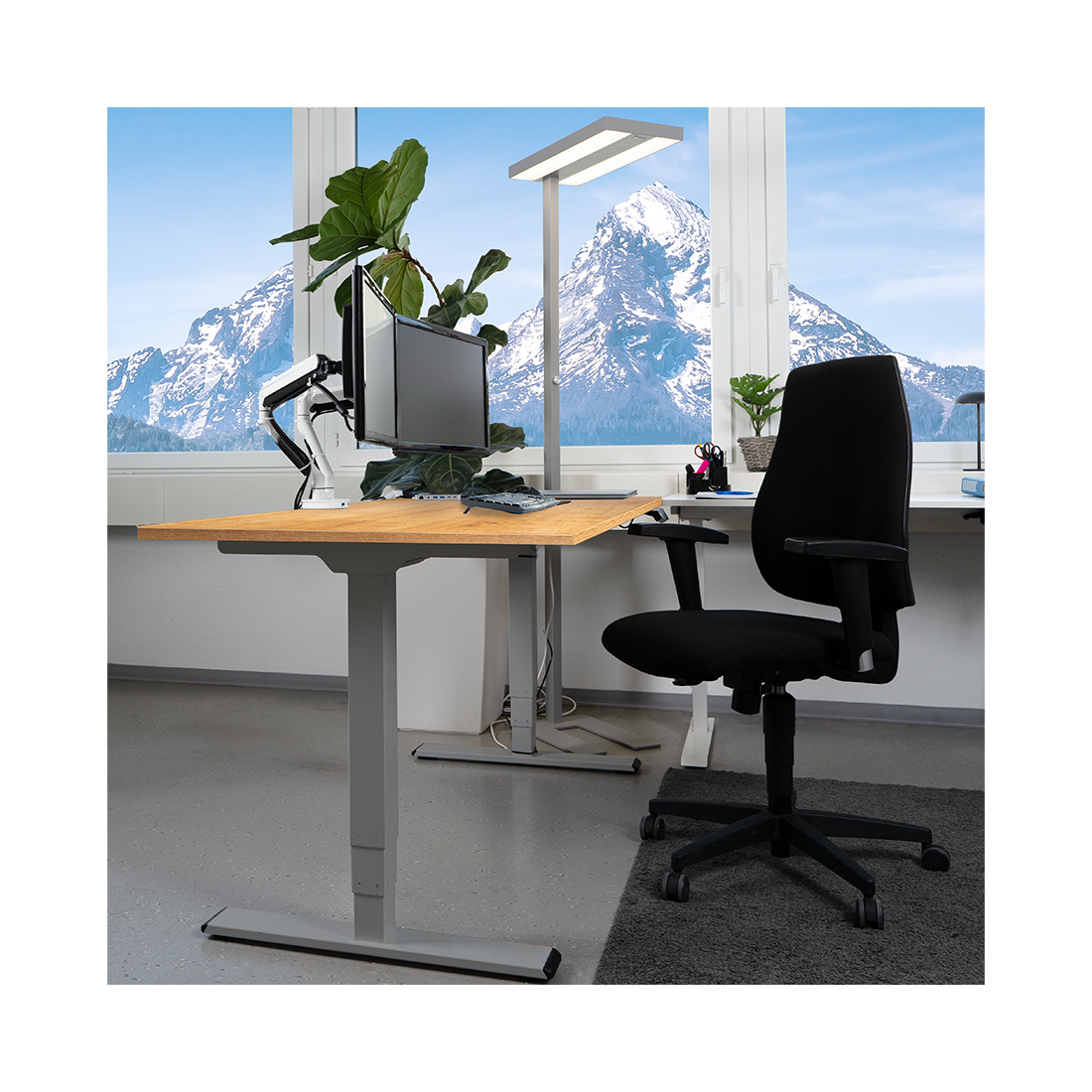 Contini höhenverstellbarer Bürotisch 1.6x0.8m Eichendekor / Gestell dunkelgrau
