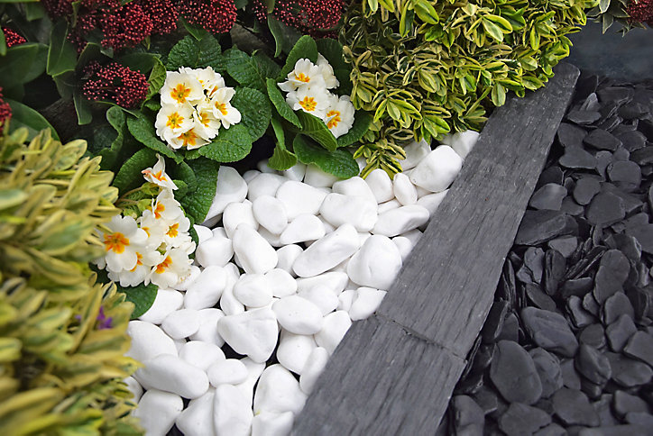 Bordure ardoise 50 x 10 cm