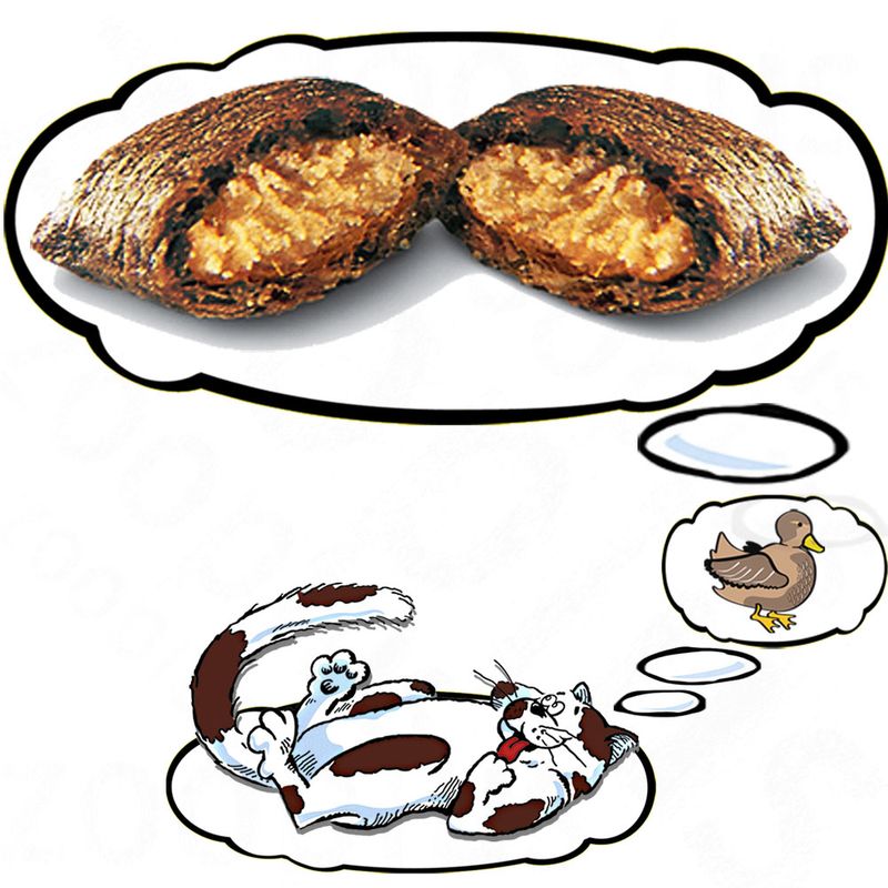 Friandises Dreamies Catisfactions, canard à prix discount sur bitiba.fr
