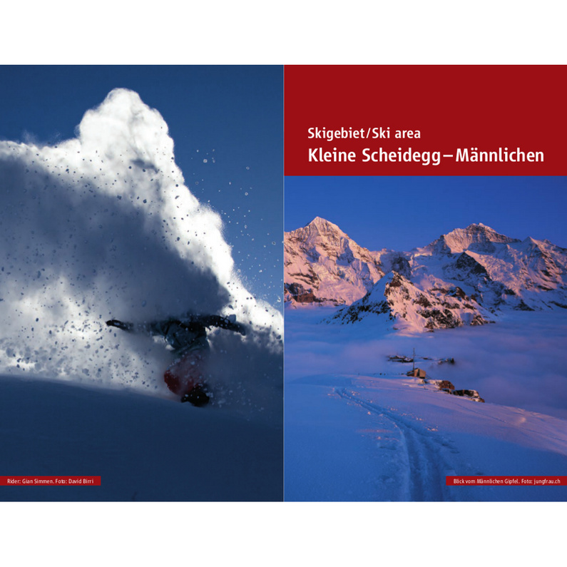 Roger Fischer Freeride Guide Jungfrau Region