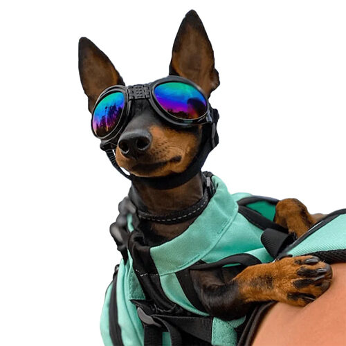 K9 Sport Shades Hondenzonnebril