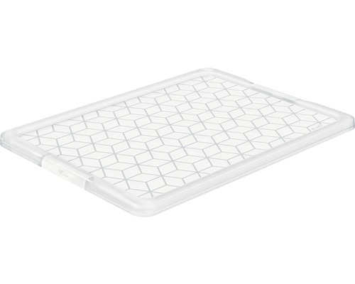 Deksel voor Evo Easy 50 & 140 l boxen, transparant, 79,1 x 59,3 x 2,8 cm