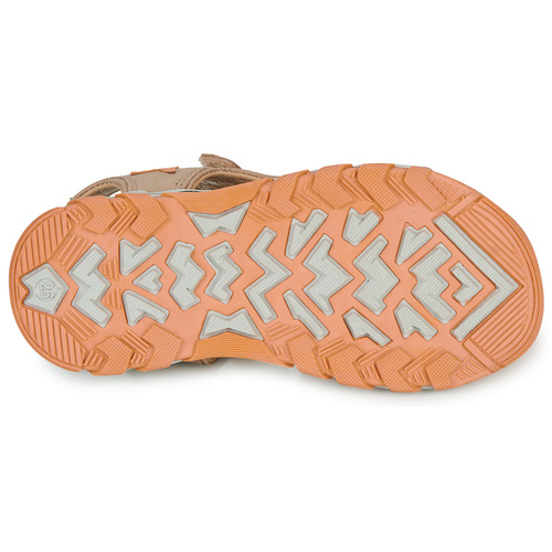 Citrouille et Compagnie - WAYO - Beige