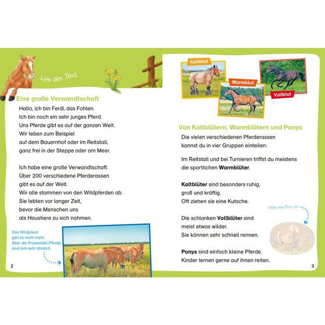 WAS IST WAS - Erstes Lesen - Leserätsel - Pferde und Ponys